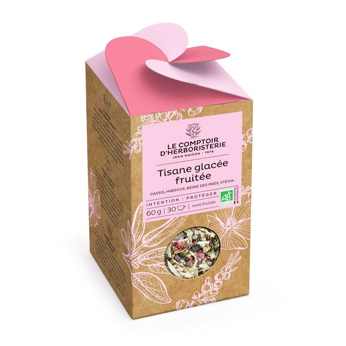 TISANE GLACEE FRUITEE BIO