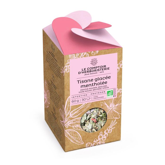 TISANE GLACEE MENTHOLEE BIO
