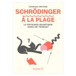 SCHRODINGER A LA PLAGE