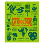 LA BIOLOGIE TOUT SIMPLEMENT NO RETURN