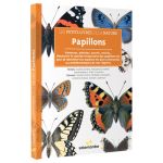 PAPILLONS PETITS NATURE