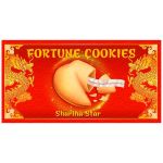 FORTUNE COOKIES ORACLE DE POCHE NO RETUR