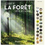 LE CHANT DE LA FORET AU FIL DES SAISONS