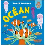 OCEAN POP UP