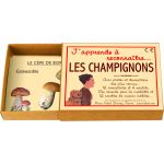 J&#039;apprends à reconnaître les champignons