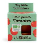 TOMATES A FAIRE POUSSER