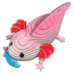 EUGY 3D AXOLOTL