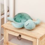VEILLEUSE TORTUE RECYCLEE rechargeable