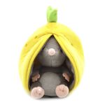 SOURIS CITRON
