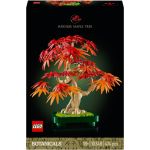 BONSAI D’ERABLE ROUGE DU JAPON