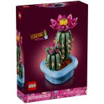 CACTUS FLEURIS
