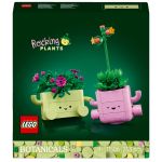 ROCKING PLANTS