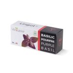 LINGOT BASILIC POURPRE BIO