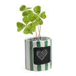 PORTE BONHEUR TREFLES A FAIRE POUSSER