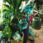 TRIO BULLES D&#039;ARROSAGE 2025