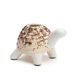TORTUE A FAIRE POUSSER