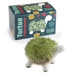 TORTUE A FAIRE POUSSER