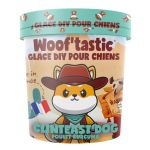 GLACE CHIEN DIY