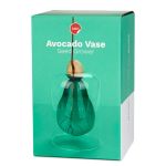 VASE DE GERMINATION AVOCAT