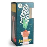 KIT JACINTHE BLANCHE