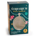 OXALIS TERRARIUM PORTE-BONHEUR NOEL 25