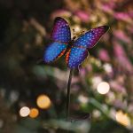 PAPILLON COULEURS SOLAIRE