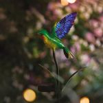 COLIBRI COULEURS SOLAIRE