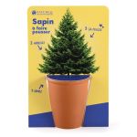 SAPIN A FAIRE POUSSER 2026