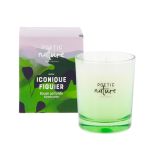 BOUGIE 180G ICONIQUE FIGUIER