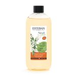 RECH BOUQUET 200ML NEROLI NATUREL 2024