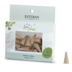 CONES D&#039;ENCENS PUR LIN