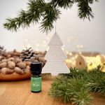 CADEAU D ASSIETTE ROI DES FORETS 2025