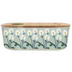 bioloco plant lunchbox oval daisies