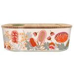 bioloco plant lunchbox oval prothea