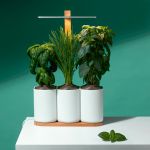 LILO 4, JARDIN D&#039;INTERIEUR