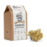 KIT DIY PLEUROTES 2020