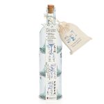 KIT 3 ALCOOLS VODKA GIN BOISSON ANI BIO