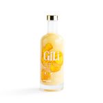 ELIXIR GINGEMBRE BIO 500ML