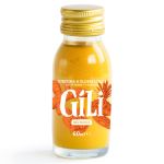 SHOT ELIXIR GINGEMBRE CURCUMA BIO 60ML