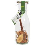 CARAFE PREPA POMME POIRE CANNELLE BIO