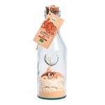 DIY CARAFE PINA COLADA ANANAS COCO