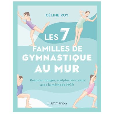 LES 7 FAMILLES DE GYMNASTIQUE AU MUR MCR