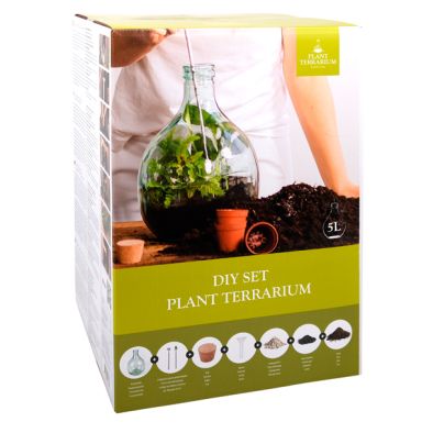 TERRARIUM DIY