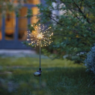 FLEUR PISSENLIT SOLAIRE A PLANTER