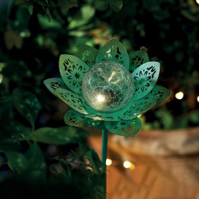 LOTUS SOLAIRE