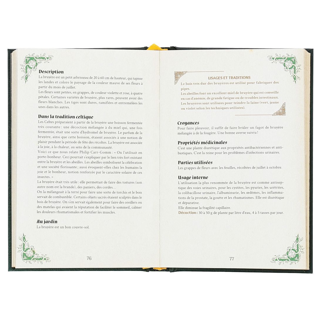 Rituel D'Abondance Druidique - Voyance Et Magie Naturelle, Produit Neuf, Origine France