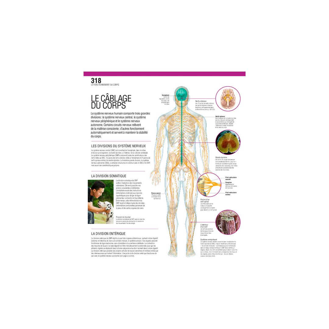Le grand guide visuel du corps humain • Nature & Découvertes Suisse
