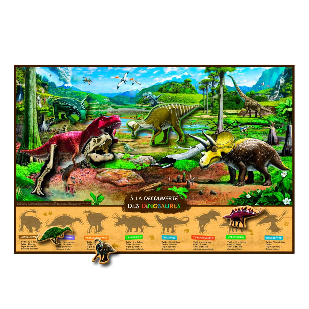 A la découverte des dinosaures • Nature & Découvertes Suisse — free download