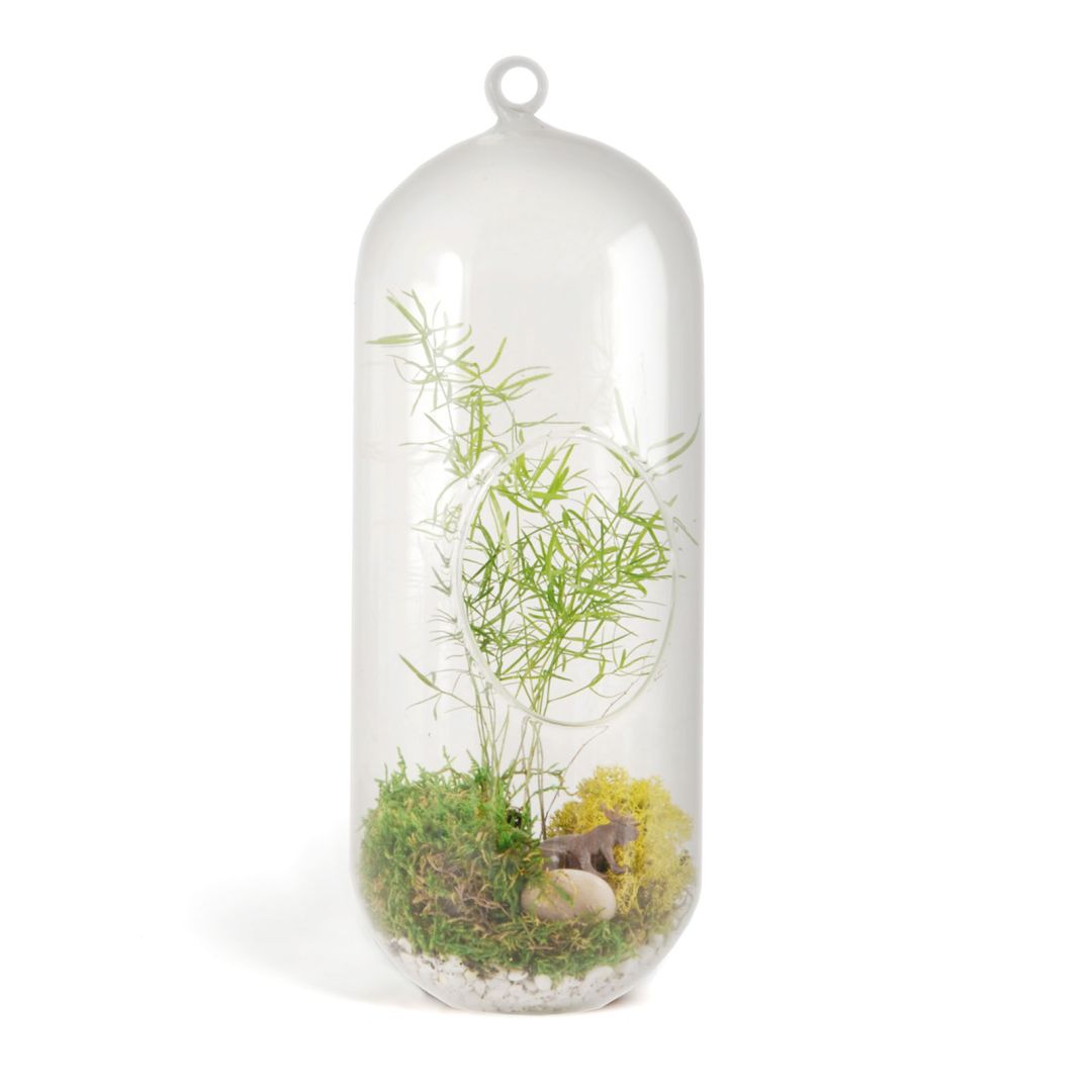 Coffret Terrarium DIY • Nature & Découvertes Suisse