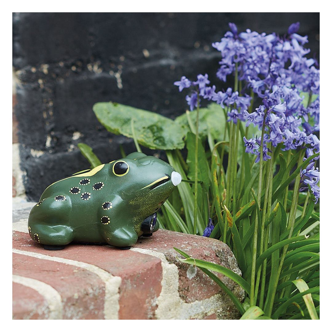 Grenouille Solaire Danseuse – Animé à L'Énergie Solaire – Sans Pile – Hauteur 9,5 Cm – Avec Adhésif